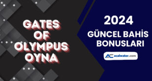 Gates of Olympus Oyna