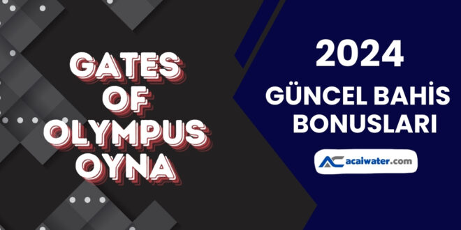 Gates of Olympus Oyna
