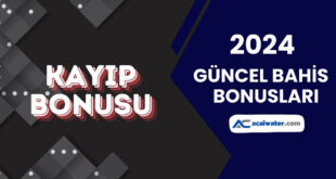 Kayıp Bonusu