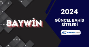 Baywin